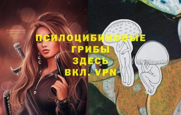 прущие грибы Вяземский