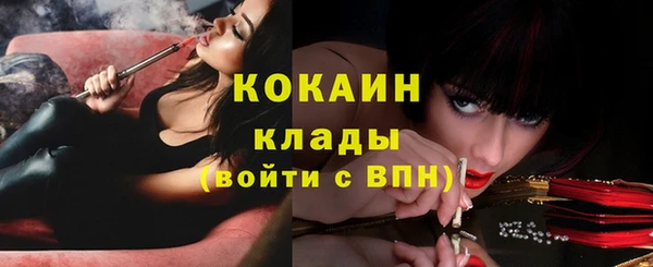 прущие грибы Вяземский