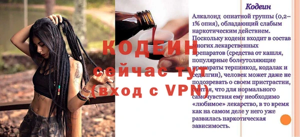прущие грибы Вяземский